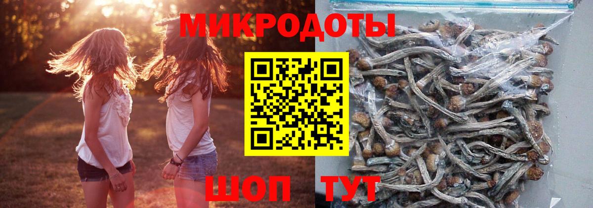 Галлюциногенные грибы Magic Shrooms Богородицк